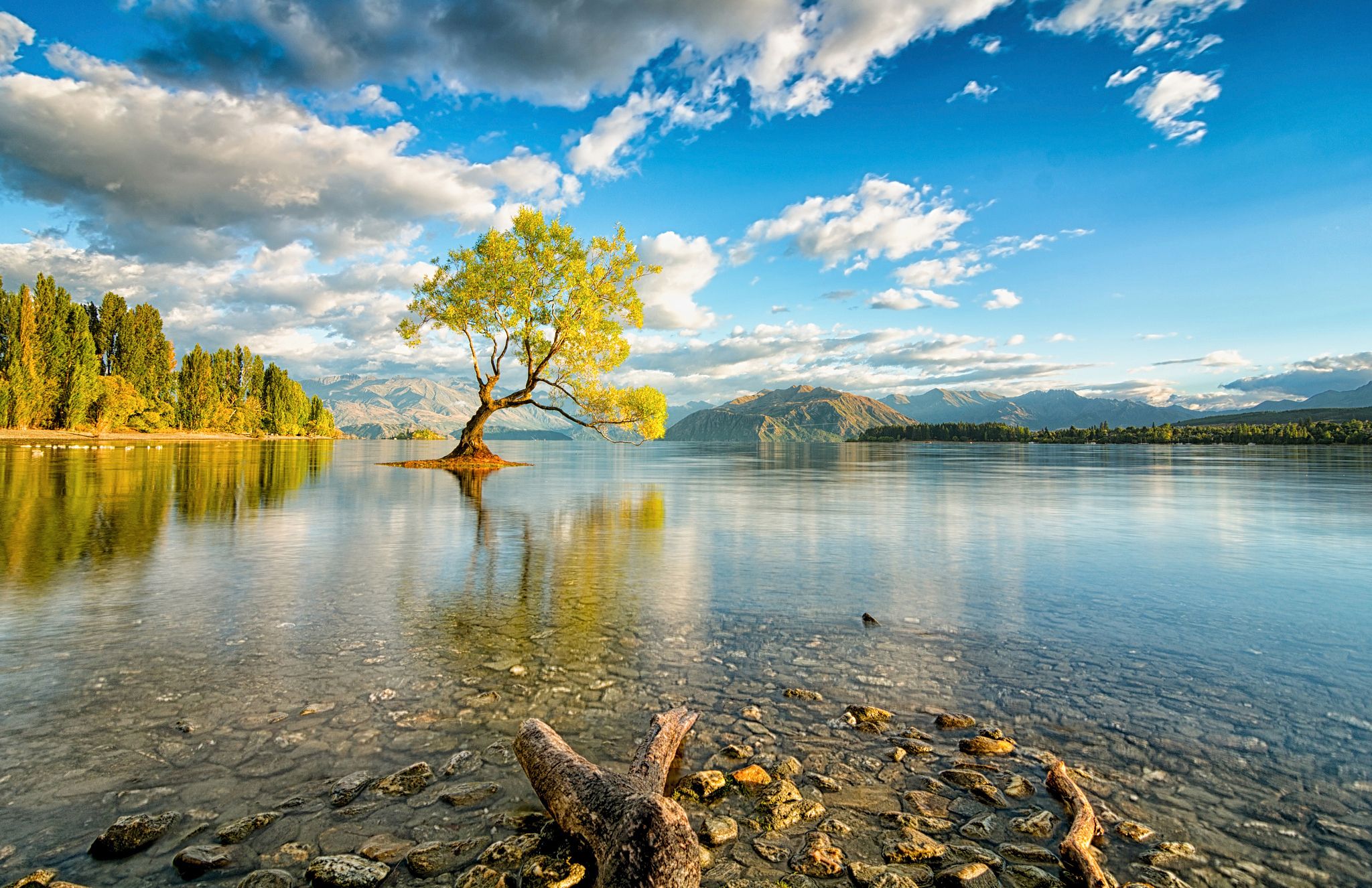 That Wanaka Tree, Lake Wanaka, Neuseeland, Einsamer Baum, See, Wolken, Full HD, Laptop-Hintergrundbild