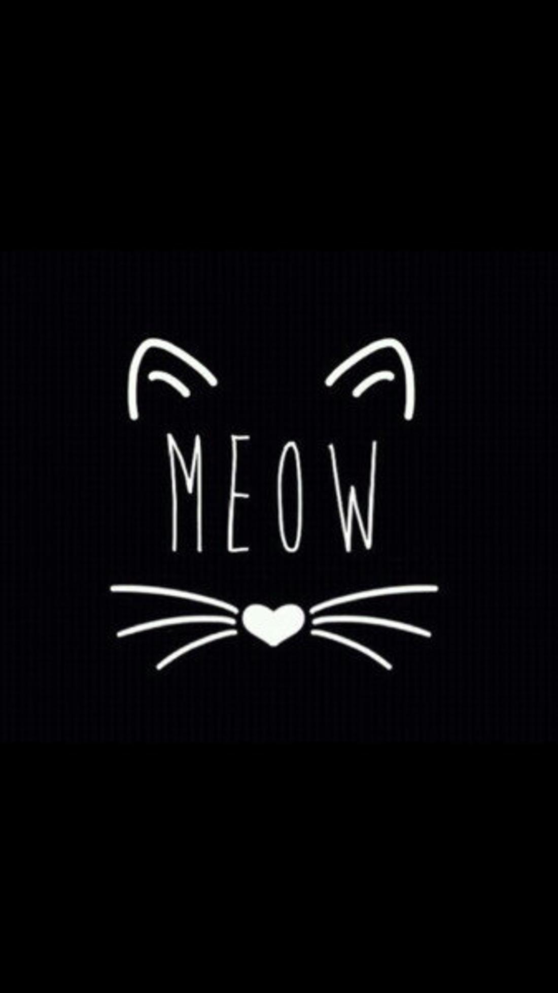 Meow, Katze, Schnurrhaare, Schwarzer Hintergrund, Minimalistisch, Sperrbildschirm fürs iPhone