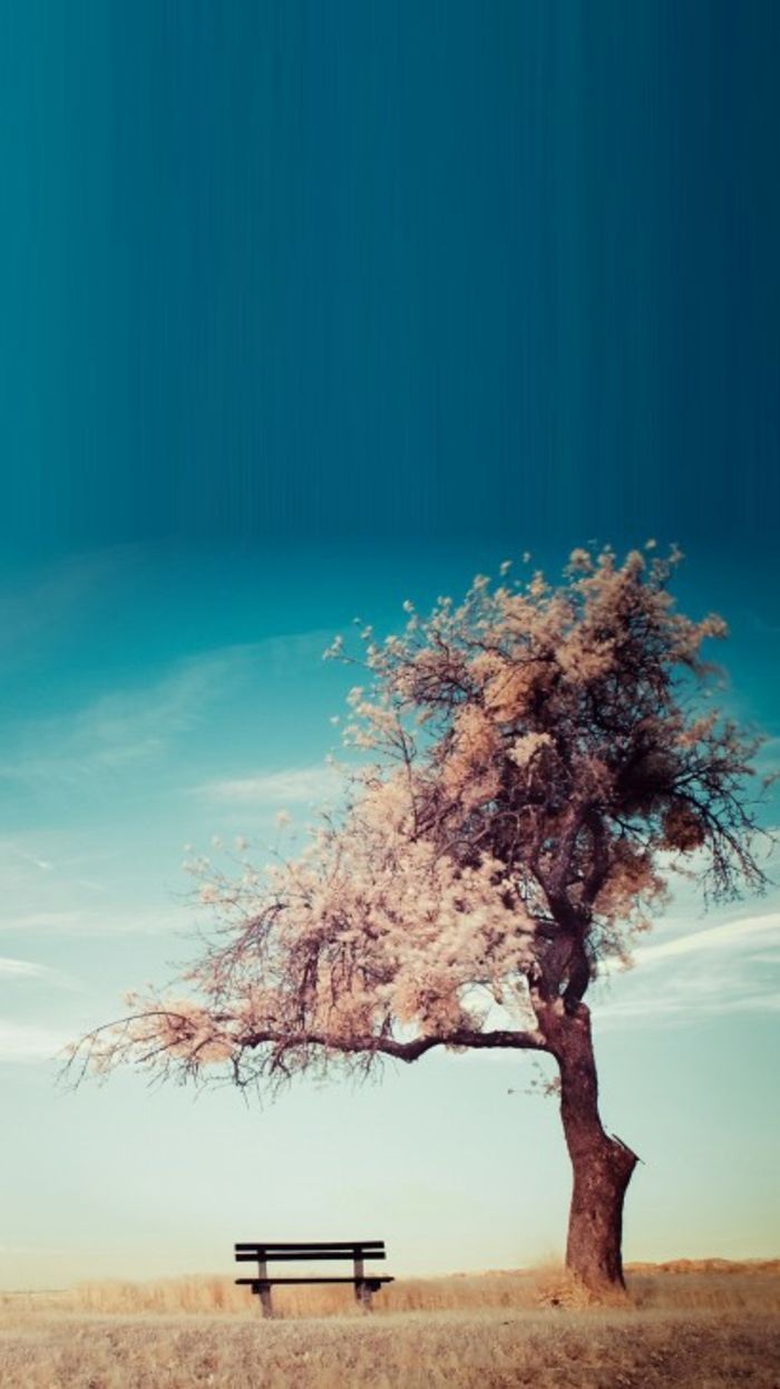 Einsamer Baum, Bank, Feld, Türkiser Himmel, Vintage, Hochformat, Hintergrundbild fürs Smartphone