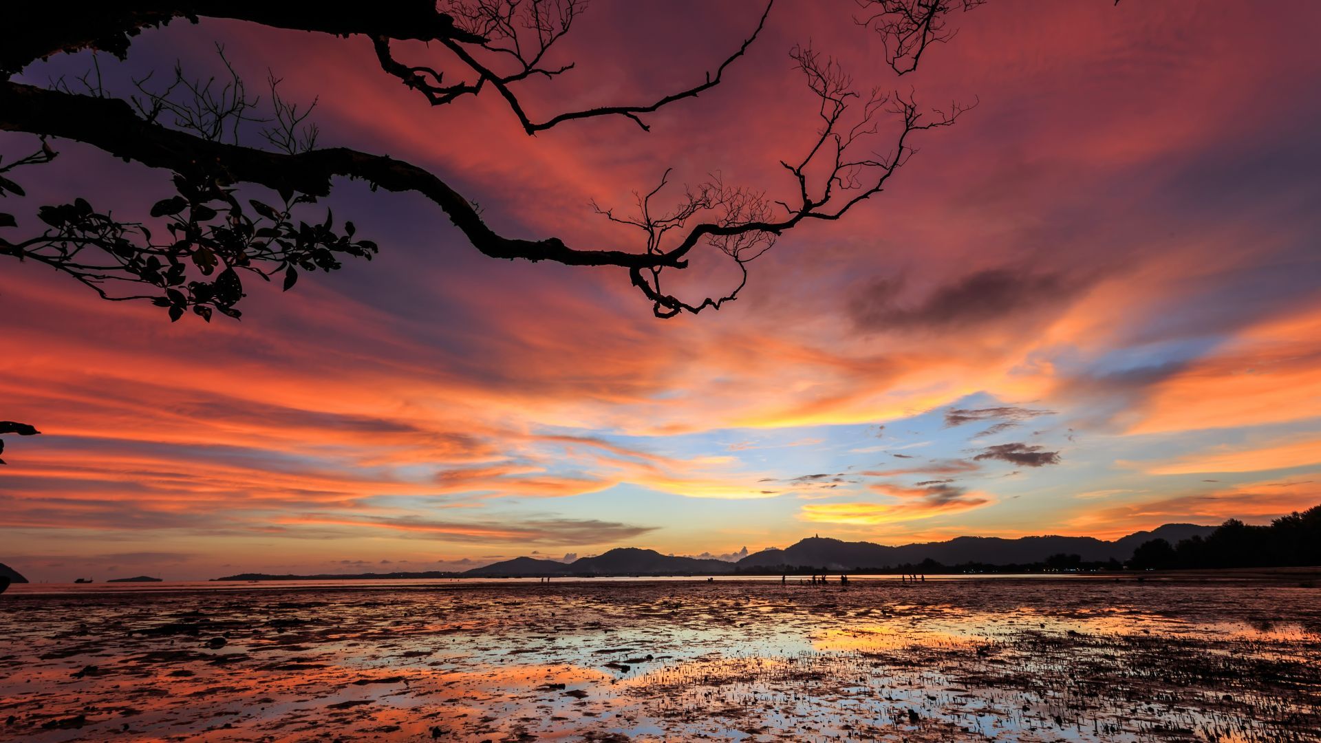 Sonnenuntergang, Wolken, Zweige, Watt, Orange, 16:9, Full-HD-Hintergrundbild für den Desktop