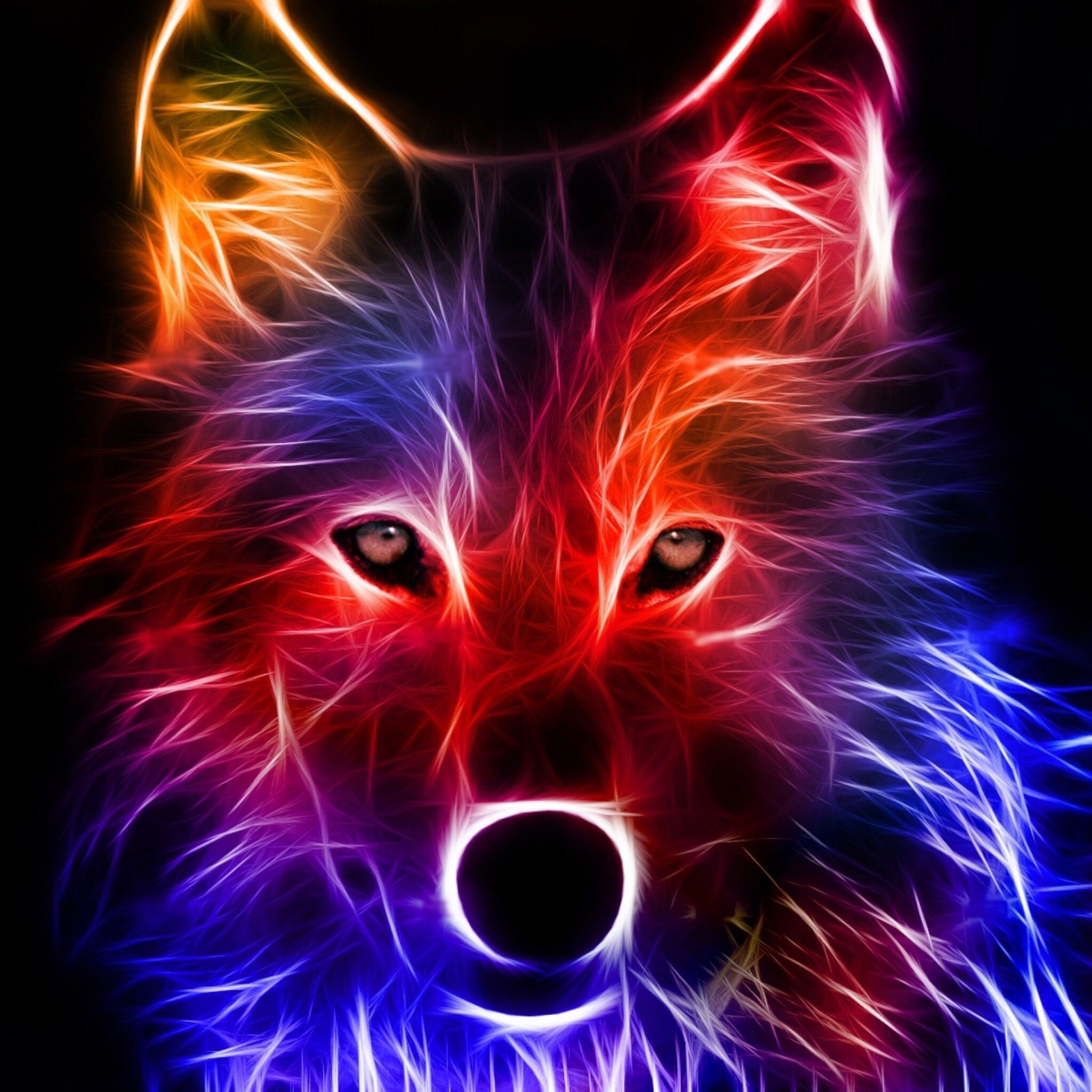 Wolf, Neonfell, Tierporträt, Rot, Blau, Digitale Kunst, Full HD, Hintergrundbild fürs Tablet