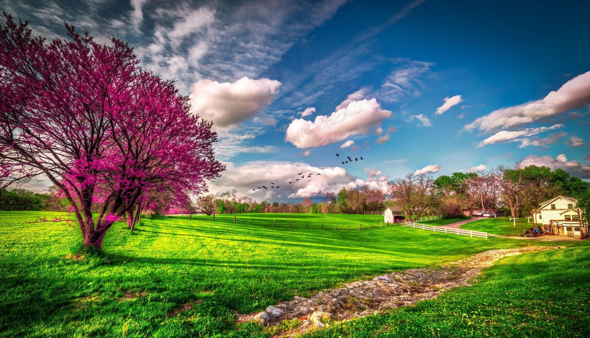Blühender Baum, Wiese, Wolken, Frühling, Landschaft, Full HD, Desktop-Hintergrund für Windows