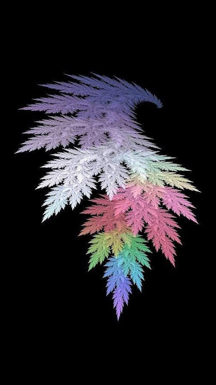 Farn, Fraktal, Regenbogenfarben, Schwarzer Hintergrund, HD, Sperrbildschirm fürs iPhone