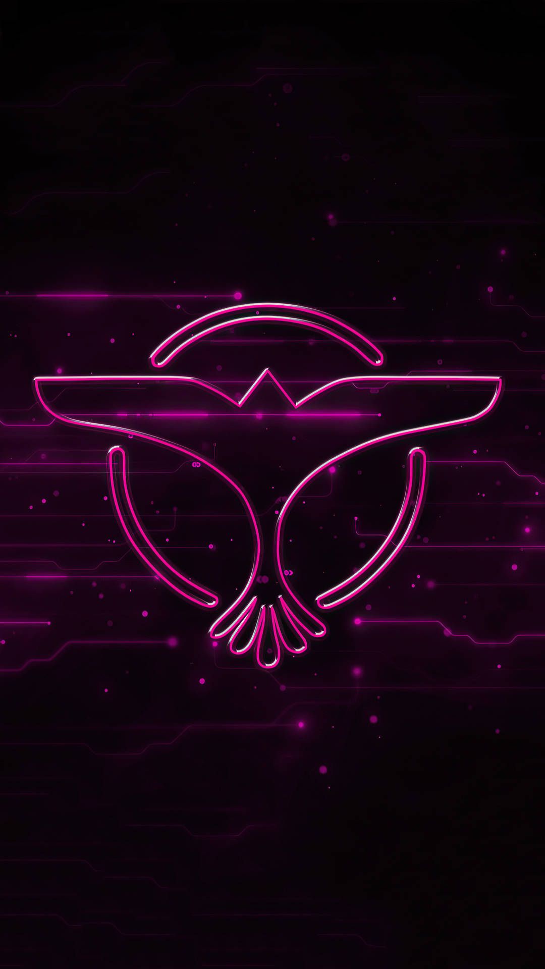 Tiësto-Logo, Tiësto, Neon, Lila, Dunkler Hintergrund, Full HD, Sperrbildschirm fürs iPhone