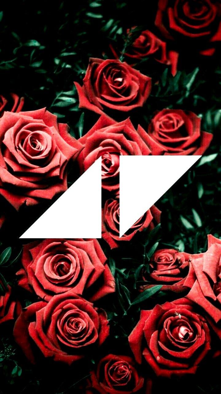 Avicii-Logo, Rote Rosen, Weißes Logo, Blumenmuster, HD, Sperrbildschirm fürs iPhone