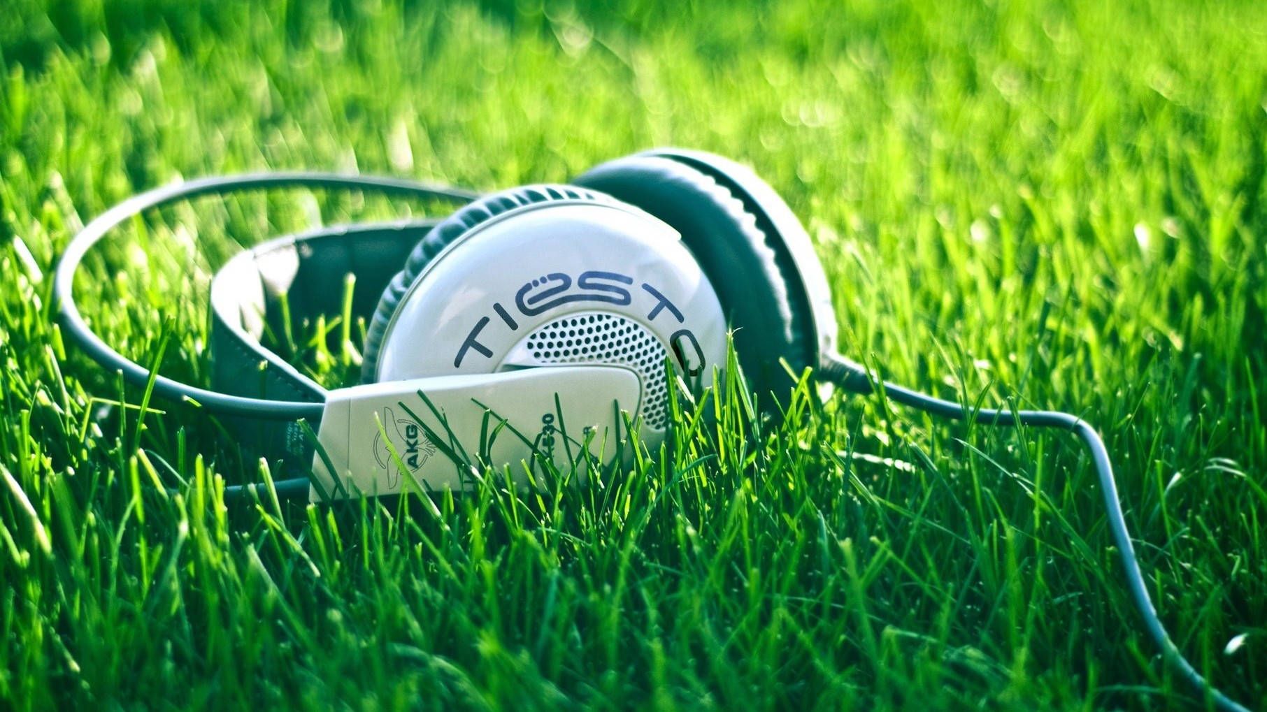 Kopfhörer, Tiësto, Gras, Grün, Nahaufnahme, 16:9, HD-Hintergrundbild für den Desktop