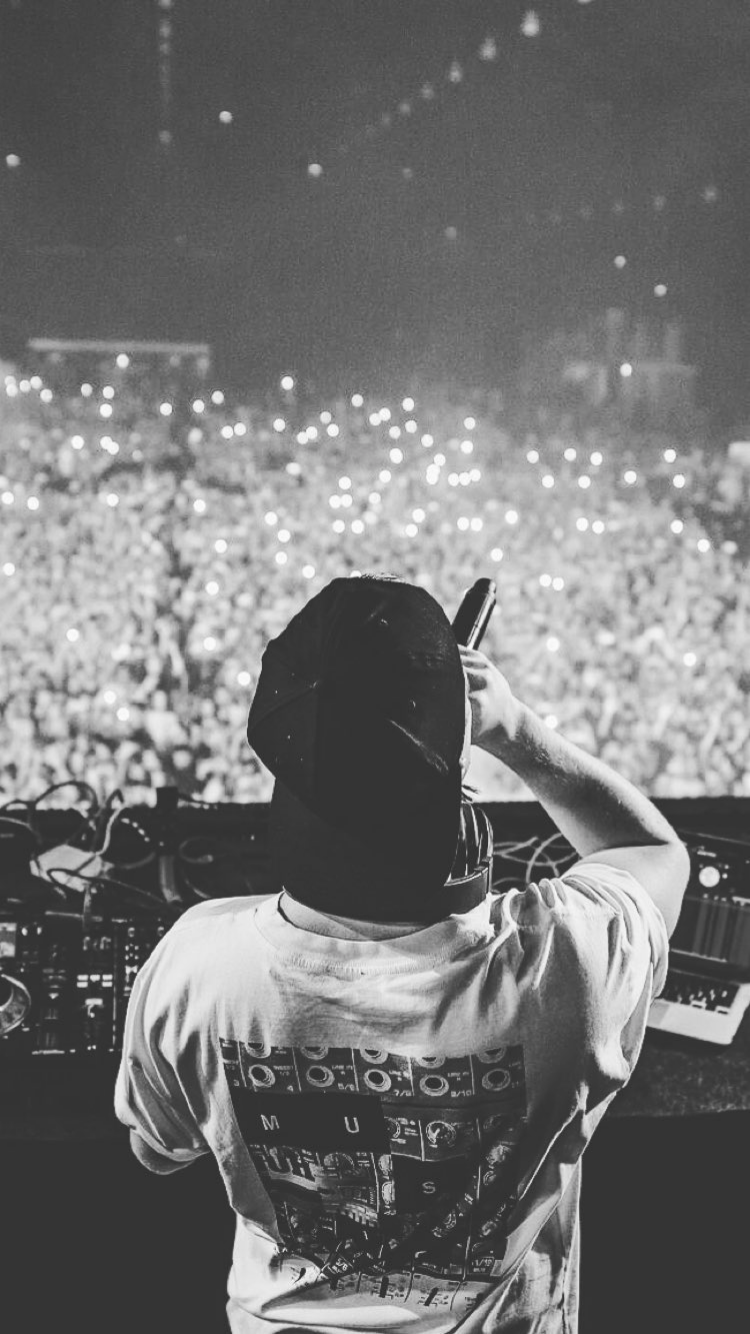 Avicii, DJ-Set, Konzert, Publikum, Schwarz-Weiß, HD, Sperrbildschirm fürs iPhone