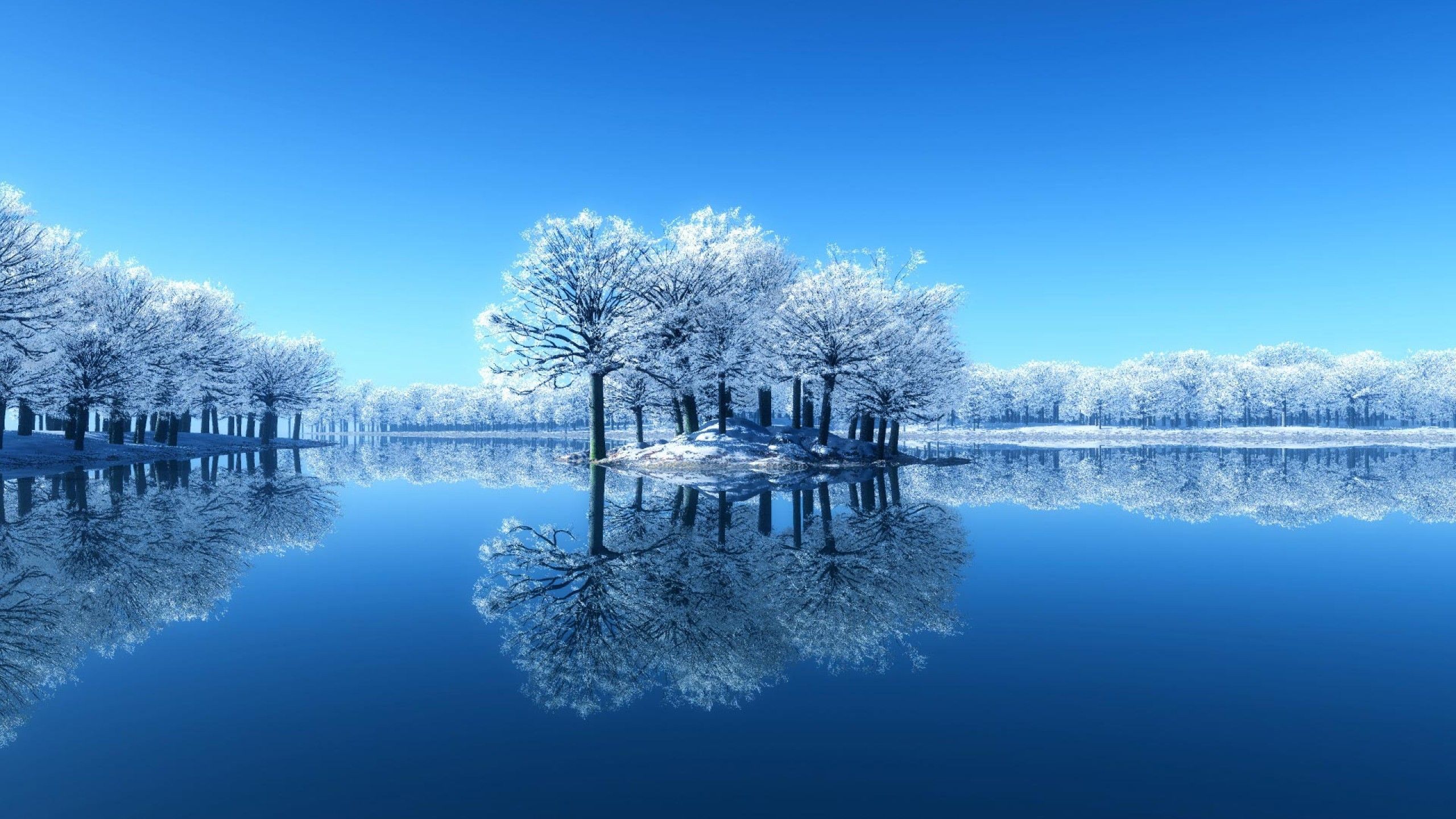 Verschneite Bäume, See, Spiegelung, Winter, Blauer Himmel, 2560x1440, Desktop-Hintergrund