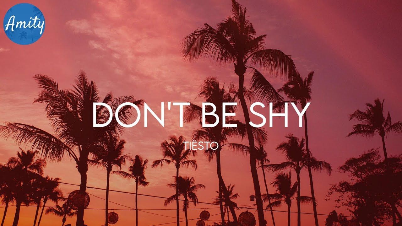 Don't Be Shy, Tiësto, Palmen, Sonnenuntergang, Rosa Himmel, HD, Windows-Hintergrundbild