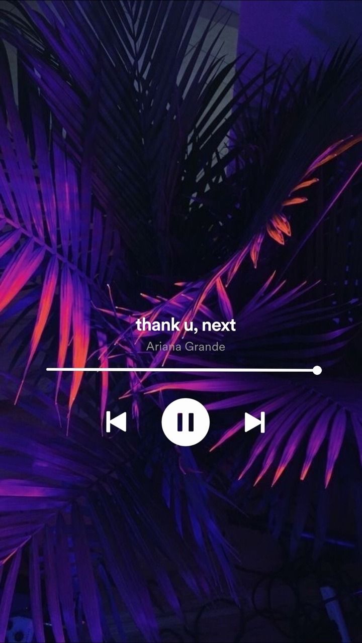 Thank U, Next, Ariana Grande, Musikplayer, Palmblätter, Lila, HD, iPhone-Hintergrundbild