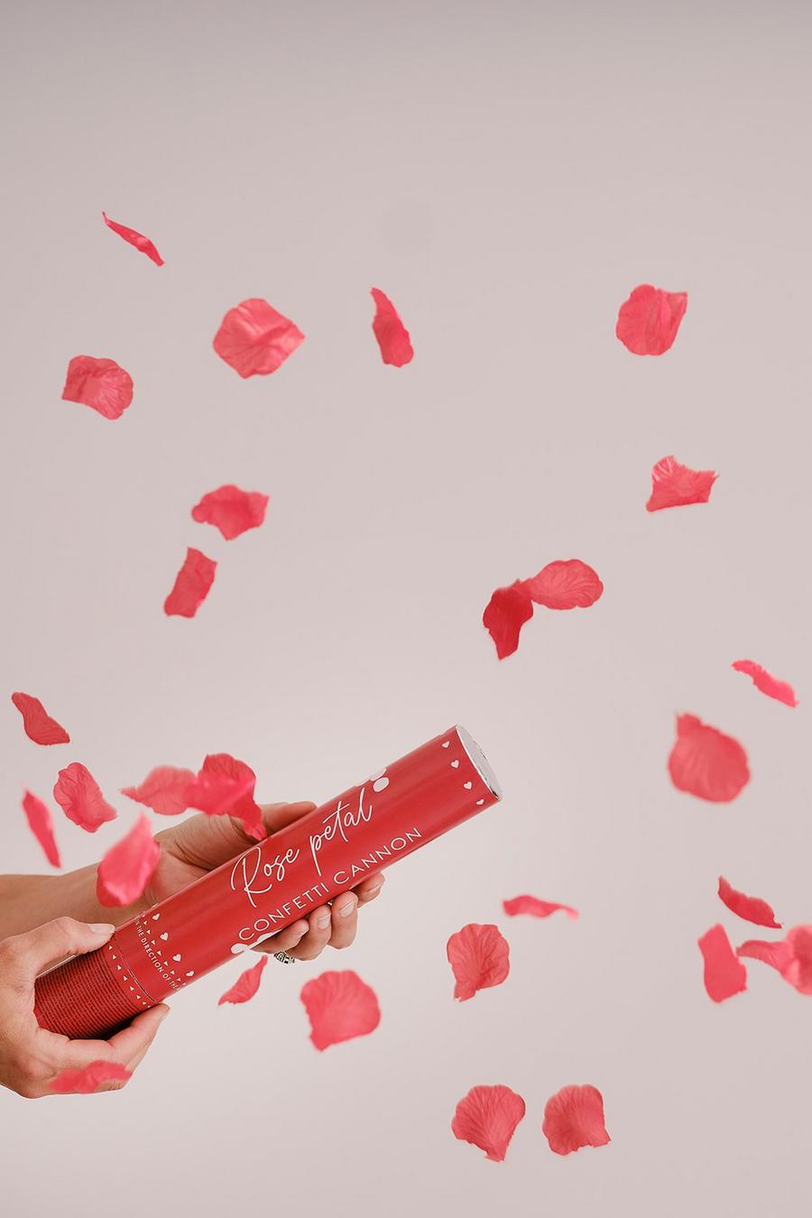 Konfettikanone, Rosenblätter, Hand, Rot, Heller Hintergrund, Sperrbildschirm fürs iPhone