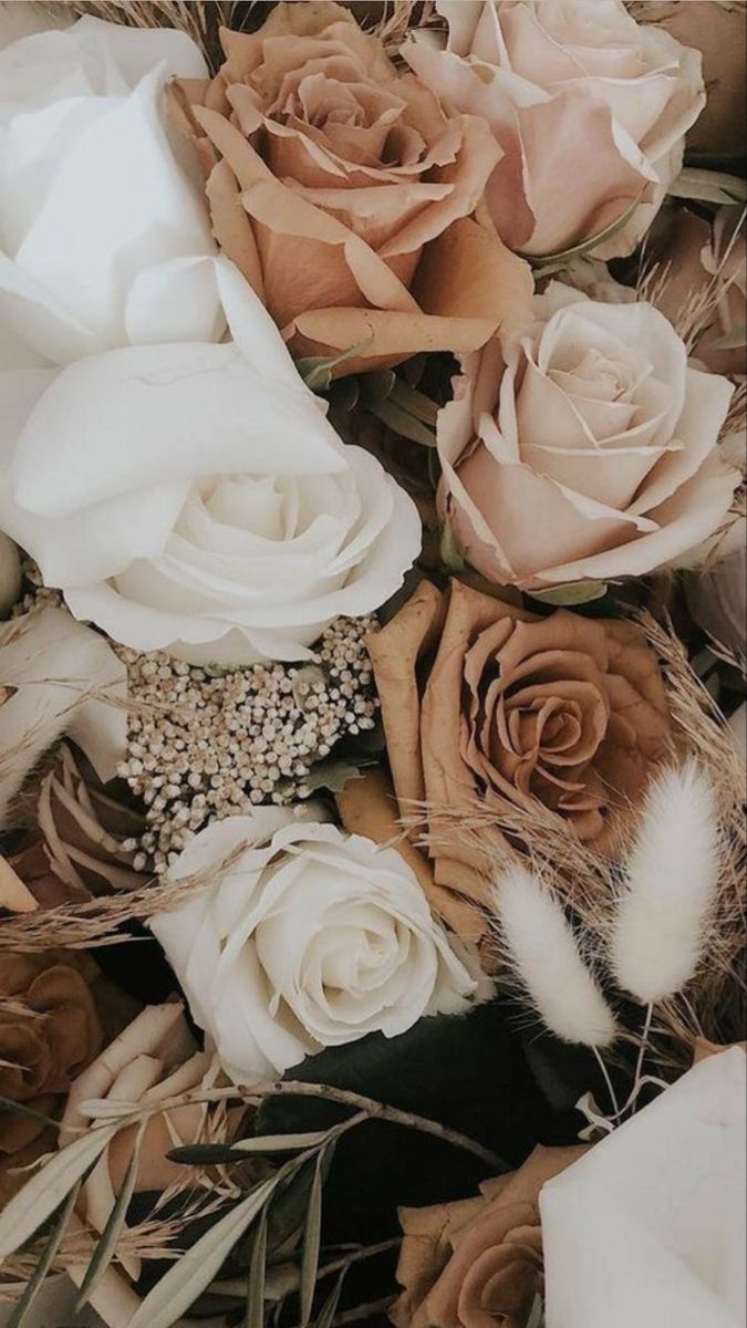 Rosen, Weiße Rosen, Trockenblumen, Beige, Blumenstrauß, Hochformat, Hintergrundbild fürs Smartphone
