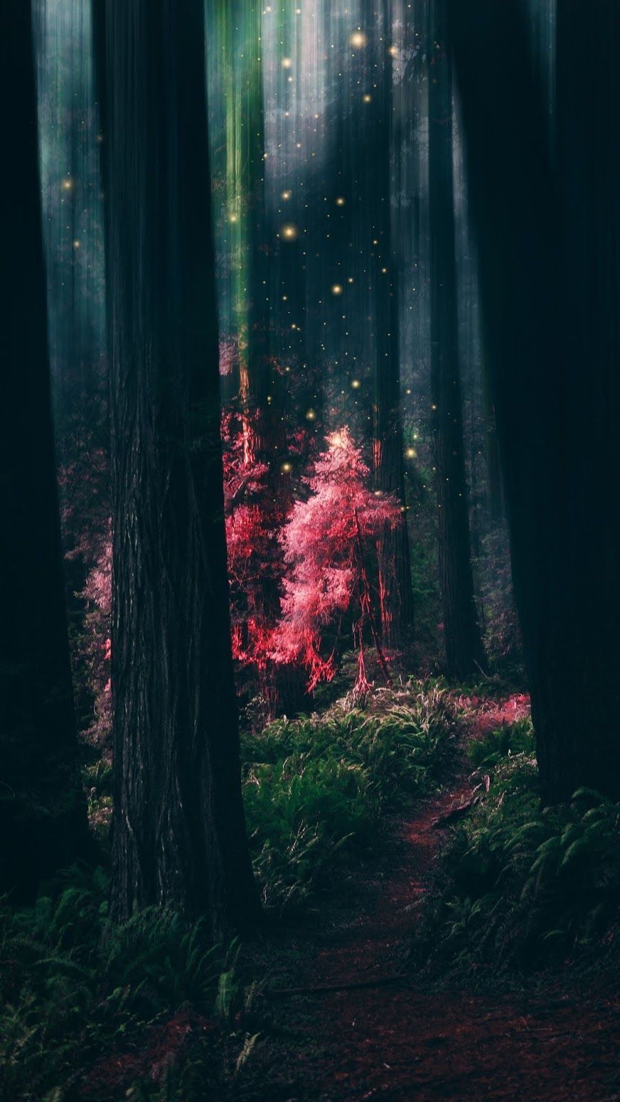 Märchenwald, Pinker Baum, Dunkel, Mystisch, HD, Hintergrundbild fürs Handy
