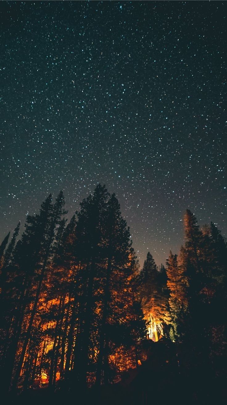 Sternenhimmel, Lagerfeuer, Nacht, Baumsilhouetten, HD, Handy-Hintergrund im Hochformat