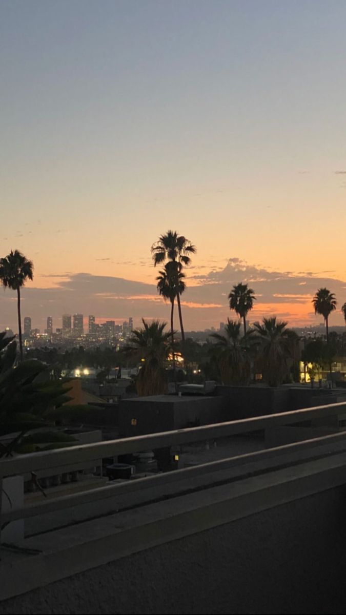 Palmen, Silhouette, Straße, Sonnenuntergang, Stadt, Hintergrundbild für iPhone und Android