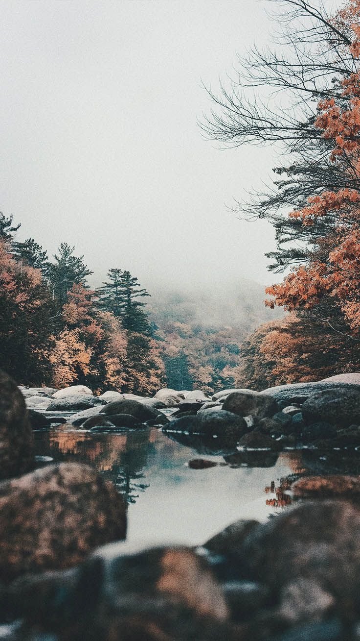 Bach, Herbstbäume, Felsen, Nebel, Wald, HD, Hintergrundbild fürs Handy