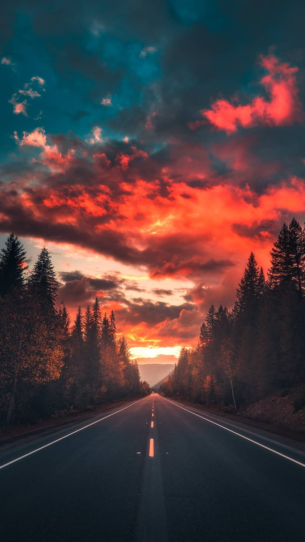 Straße, Wald, Roter Himmel, Sonnenuntergang, Fluchtpunkt, HD, Handy-Hintergrund