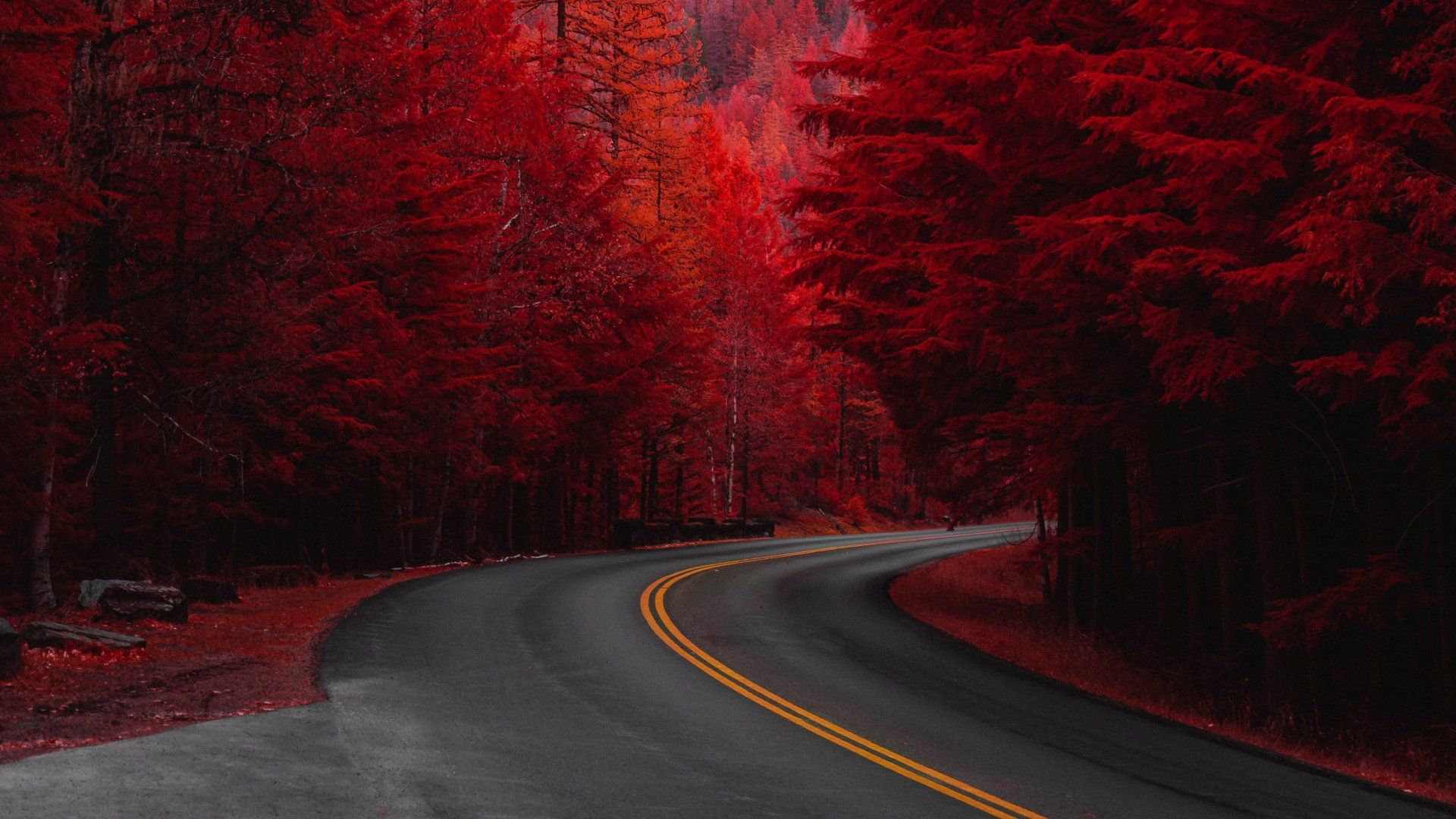 Rotes Laub, Straße, Kurve, Herbstwald, Gelbe Linien, 16:9, Full-HD-Hintergrundbild für den Desktop