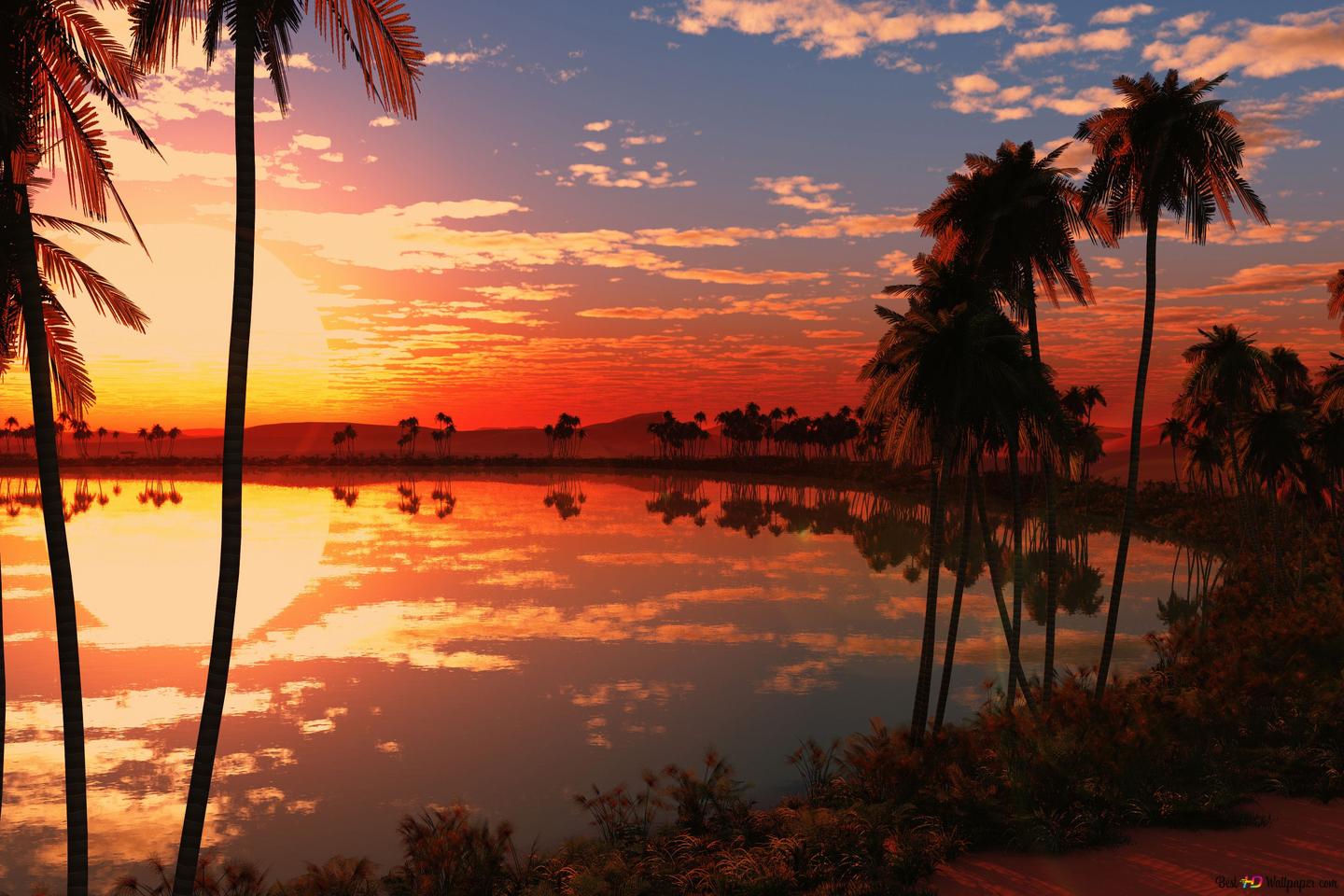 Palmen, Spiegelung, See, Roter Himmel, Tropen, HD, Hintergrundbild für den PC