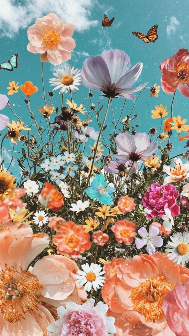 Blumencollage, Schmetterlinge, Bunte Blüten, Türkiser Hintergrund, Ästhetik, Sperrbildschirm