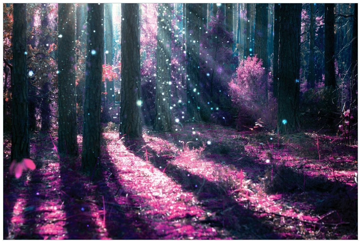 Zauberwald, Lichtstrahlen, Pink, Fantasy, Leuchtpartikel, Hintergrund
