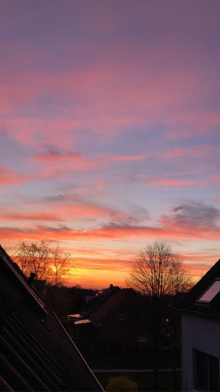 Rosa Himmel, Wolken, Bäume, Dach, Morgendämmerung, HD, Handy-Hintergrund im Hochformat
