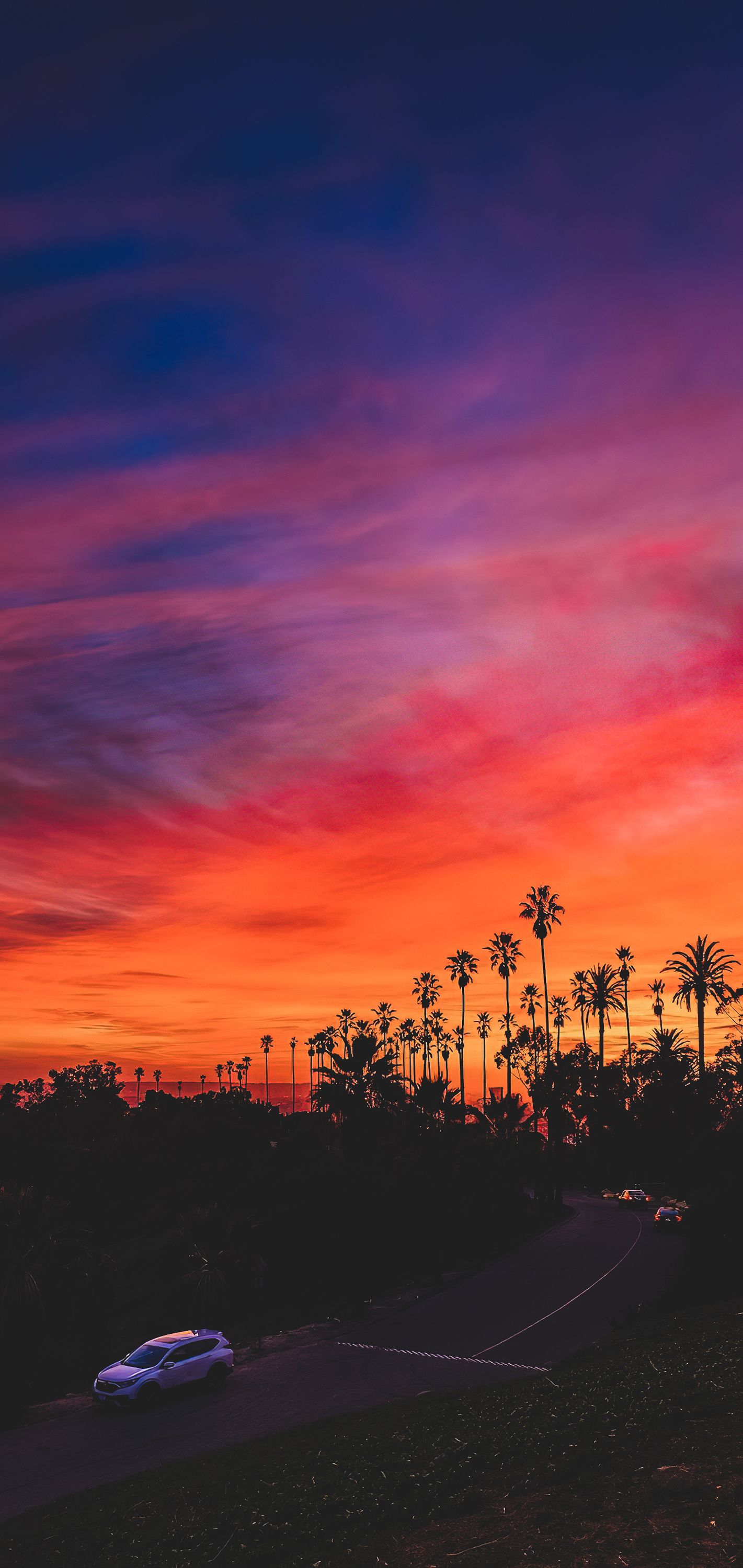 Palmen, Silhouette, Rot, Lila, Dramatischer Himmel, Full HD, Handy-Hintergrund im Hochformat