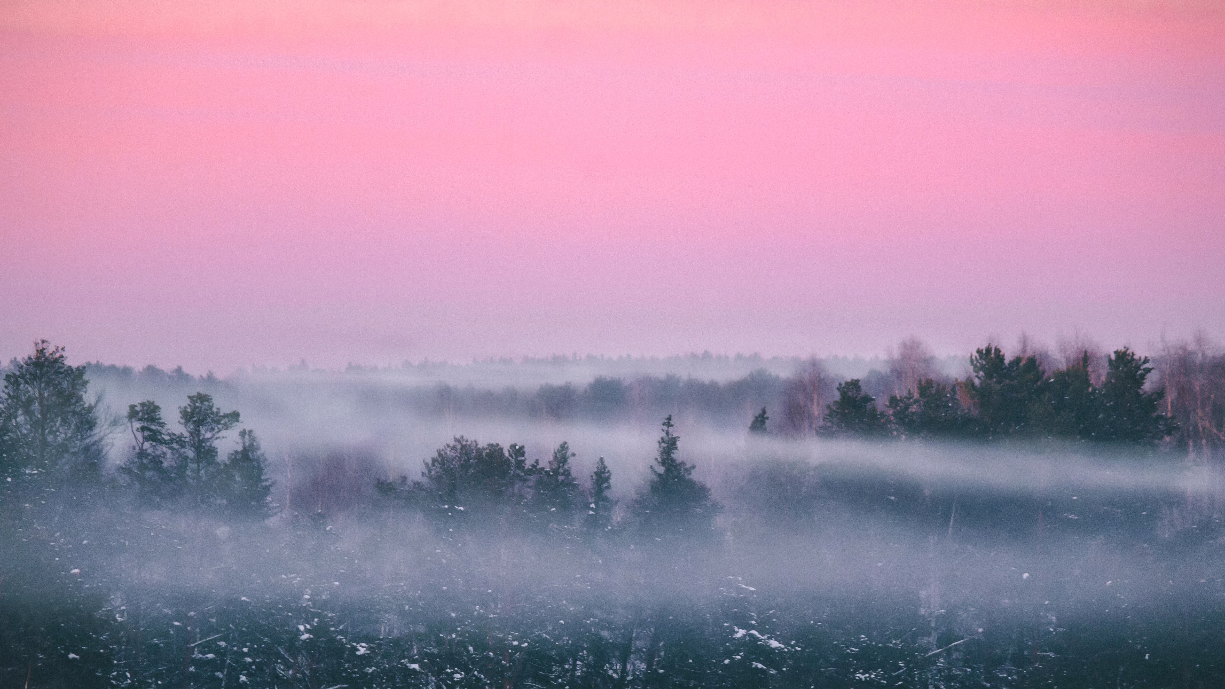 Morgennebel, Rosa Himmel, Bäume, Dämmerung, Ruhe, 4K, Hintergrund für den Desktop