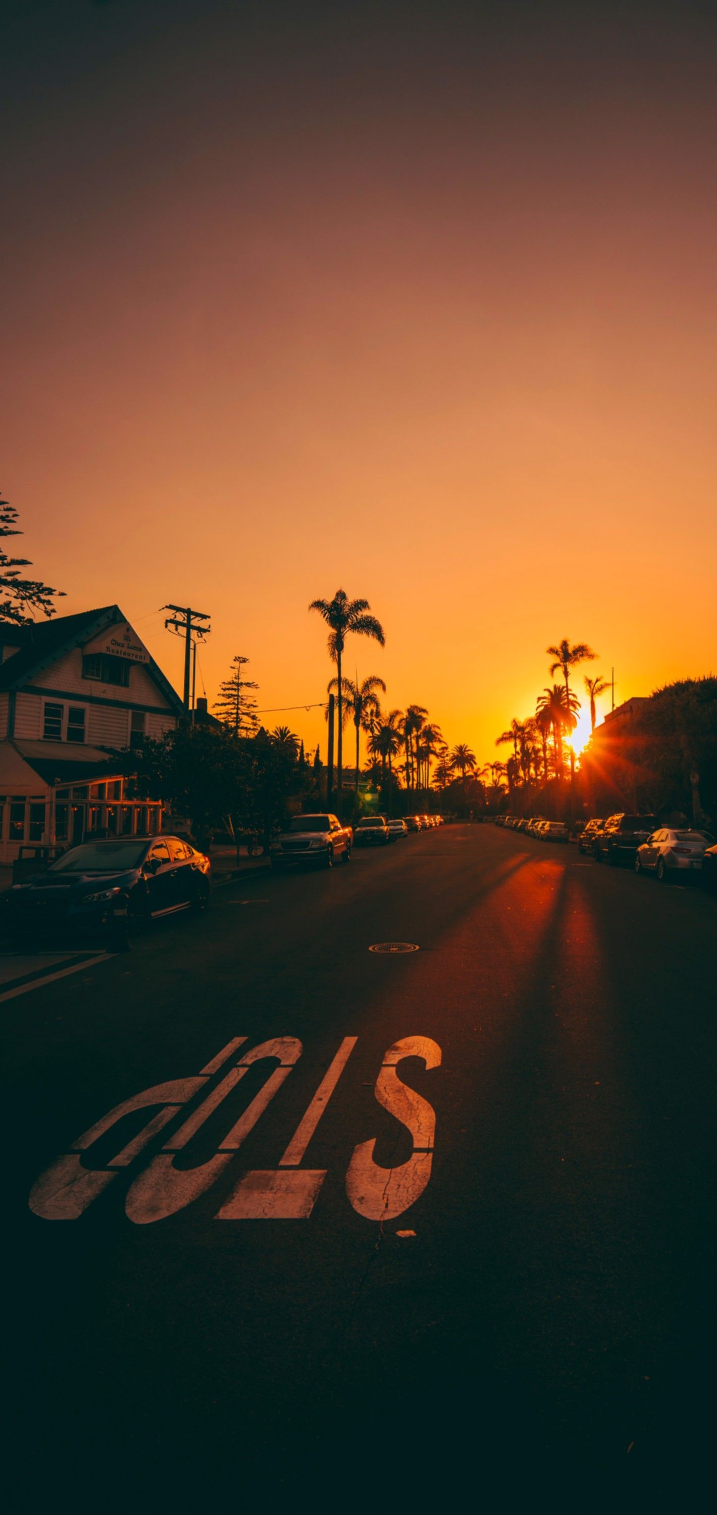 Stop-Markierung, Sonnenuntergang, Palmen, Straße, Orange, Full HD, Handy-Hintergrund