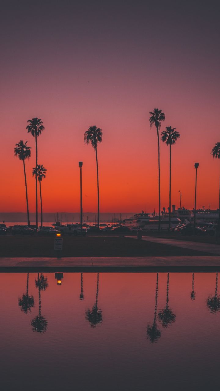 Palmen, Spiegelung, Roter Himmel, Silhouette, Dämmerung, HD, Handy-Hintergrundbild
