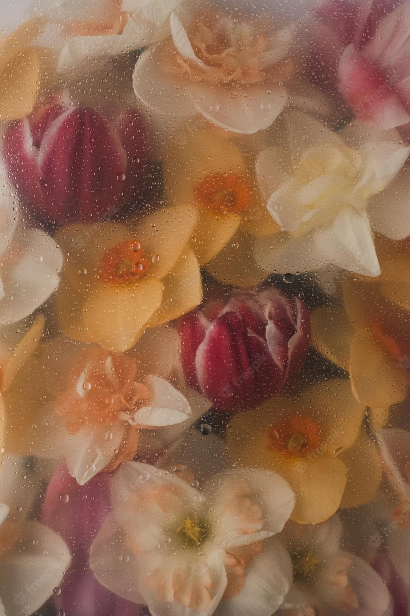 Narzissen, Tulpen, Pastell, Blumenstrauß, Frühling, Full HD, Hintergrundbild fürs Handy