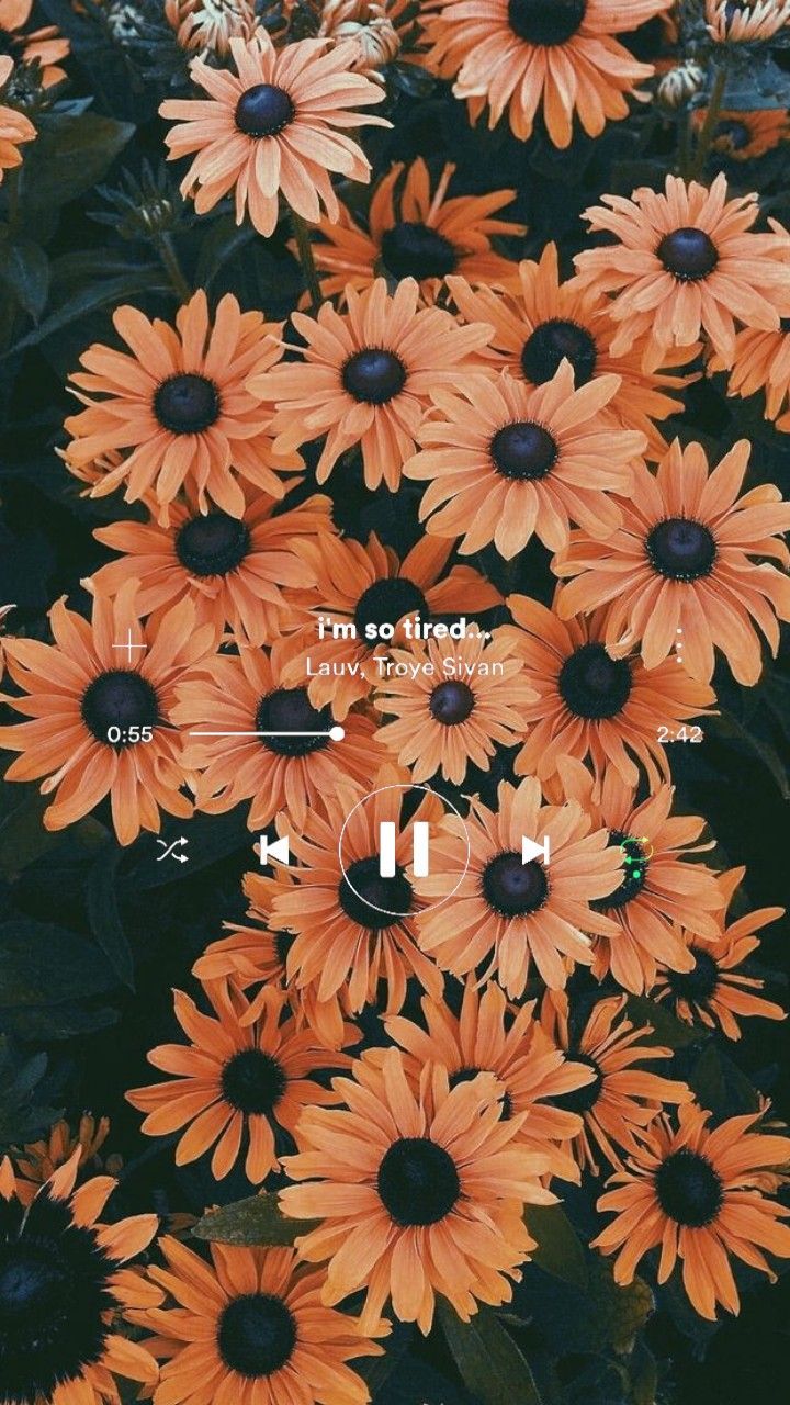 Kapkörbchen, Orange Blüten, Blütenmeer, Spruch, Draufsicht, Hintergrundbild fürs Handy