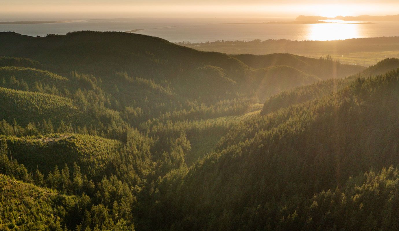 Waldhügel, Sonnenuntergang, Täler, Landschaft, Dunst, HD, Hintergrund für den Desktop