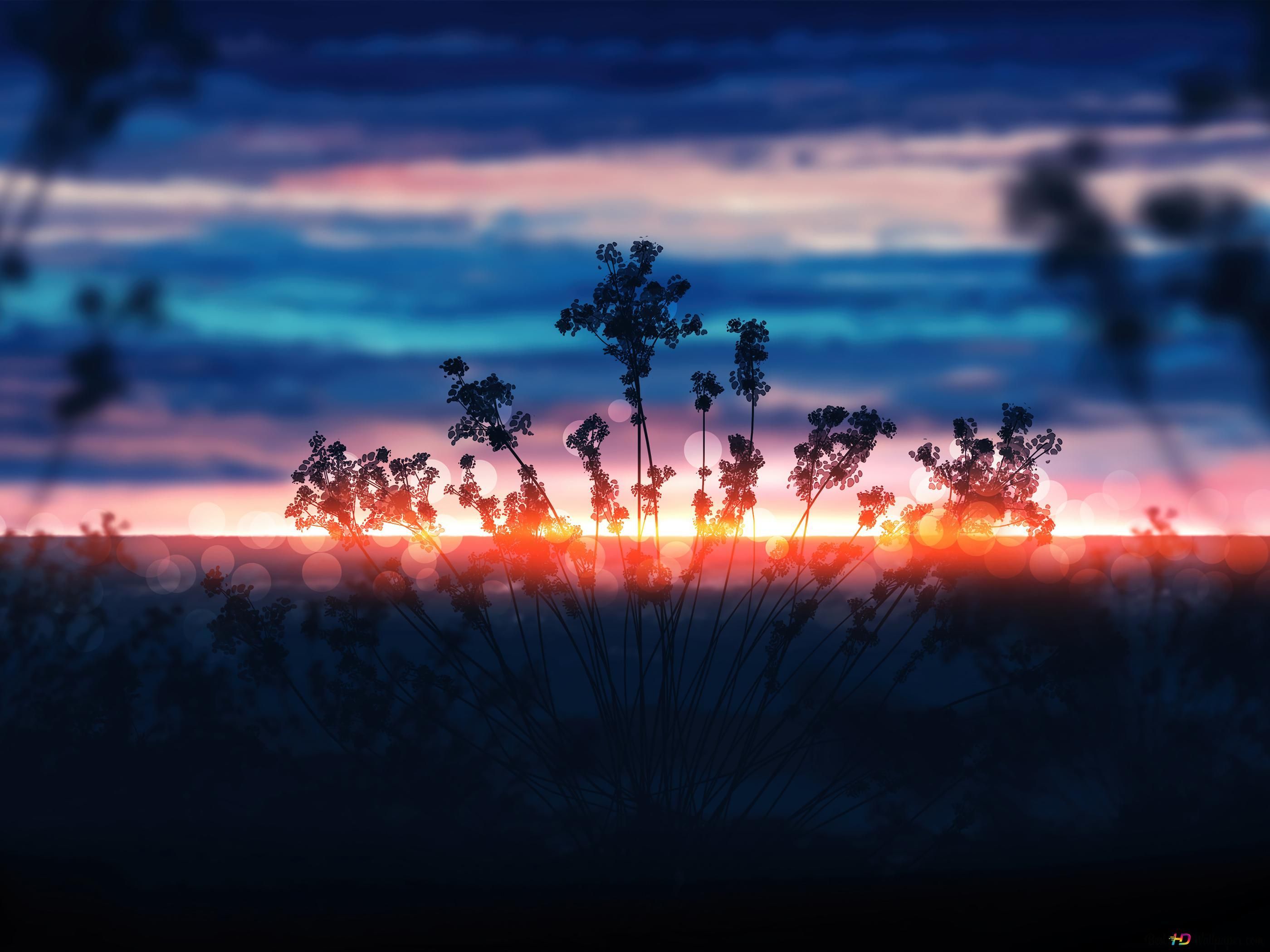 Pflanzen, Silhouette, Bokeh, Glühender Horizont, Blaue Stunde, 2K, iPad-Hintergrundbild
