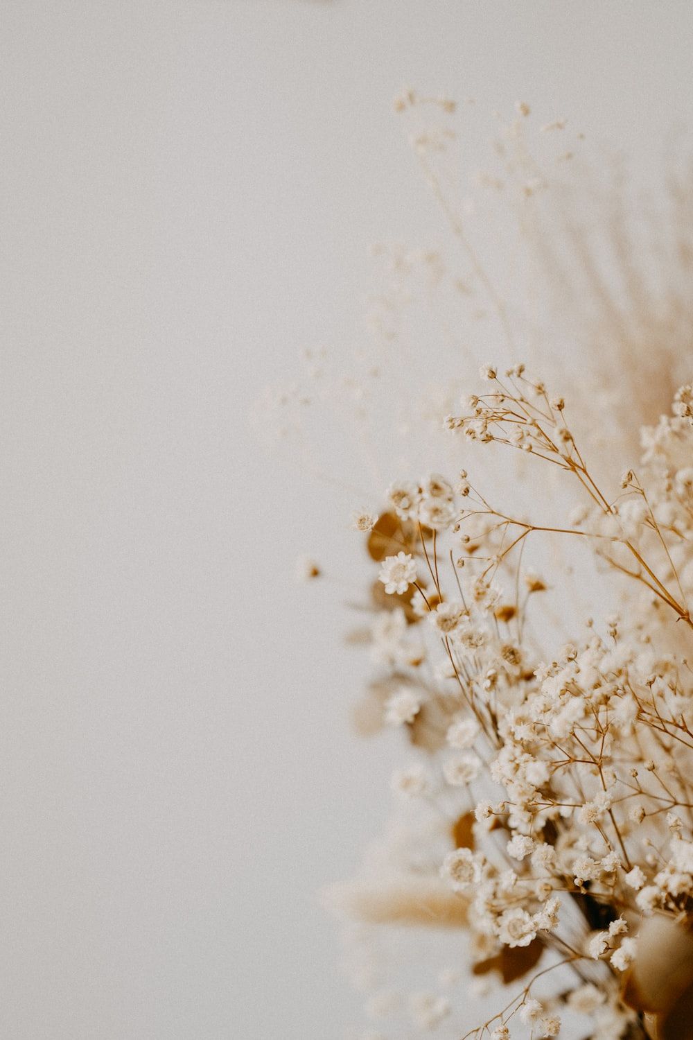 Schleierkraut, Trockenblumen, Grauer Hintergrund, Unschärfe, Sperrbildschirm fürs iPhone