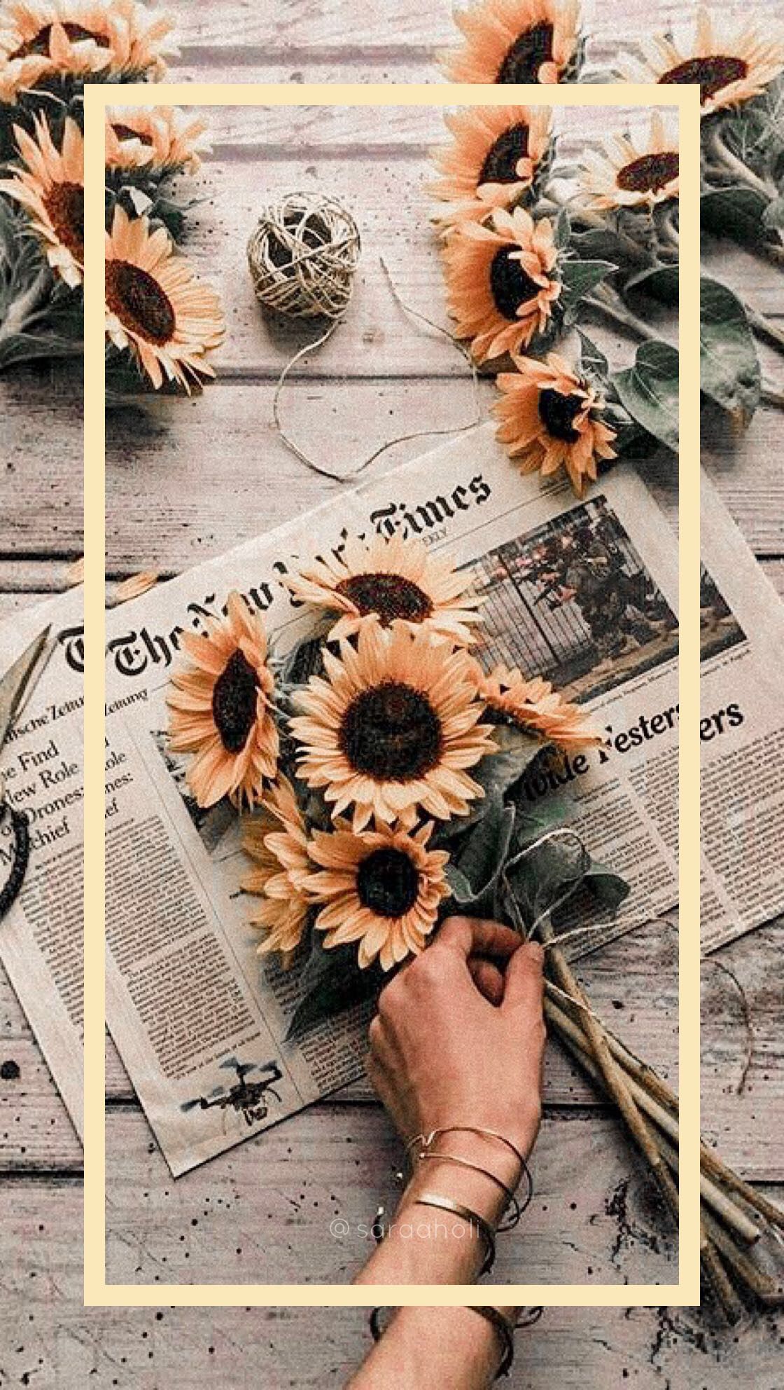 Sonnenblumen, Zeitung, Collage, Hand, Vintage, Ästhetik, Full HD, iPhone-Hintergrundbild