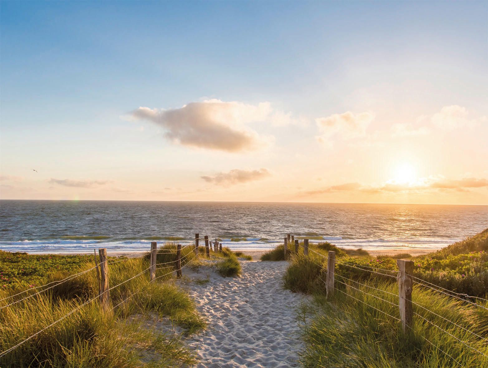 Dünen, Strandweg, Sonnenuntergang, Strandgras, Meer, HD, Hintergrundbild fürs Tablet