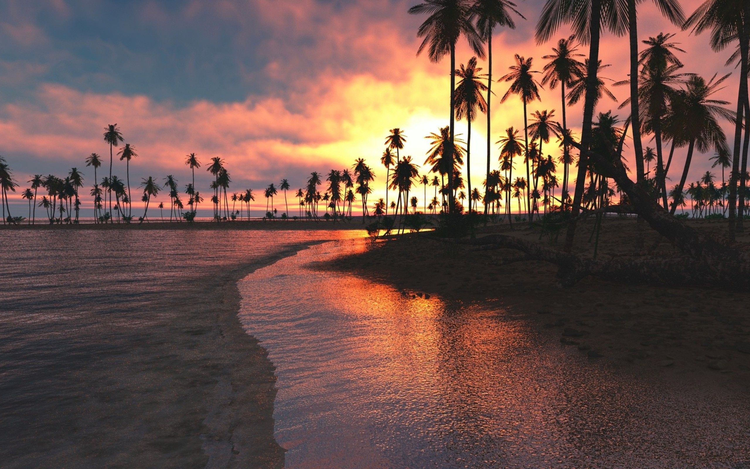 Palmen, Strand, Silhouette, Spiegelung, Tropen, 2K, Hintergrund für den Desktop