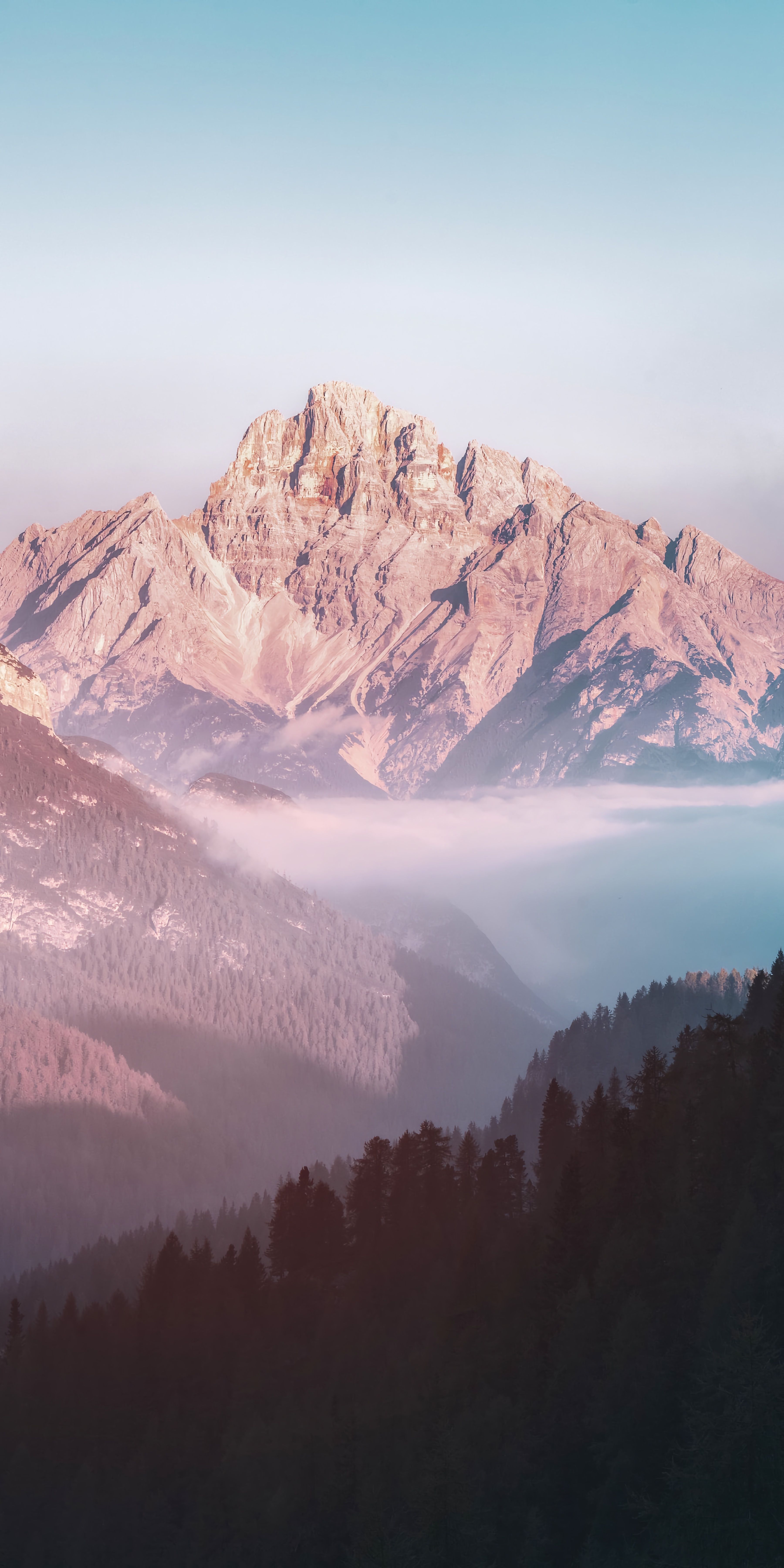 Berggipfel, Nebel, Alpenglühen, Wald, Rosa, QHD+, Hintergrundbild fürs Handy