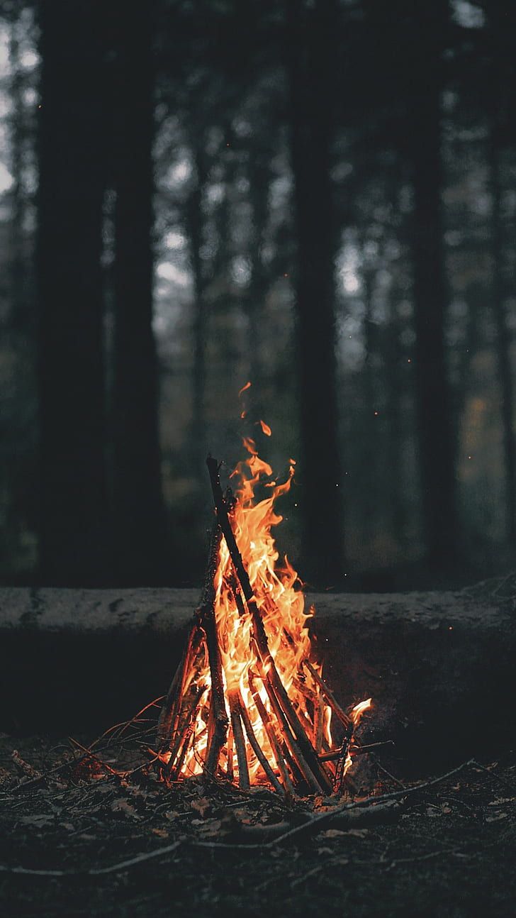 Lagerfeuer, Nacht, Wald, Flammen, HD, Hintergrundbild fürs Handy