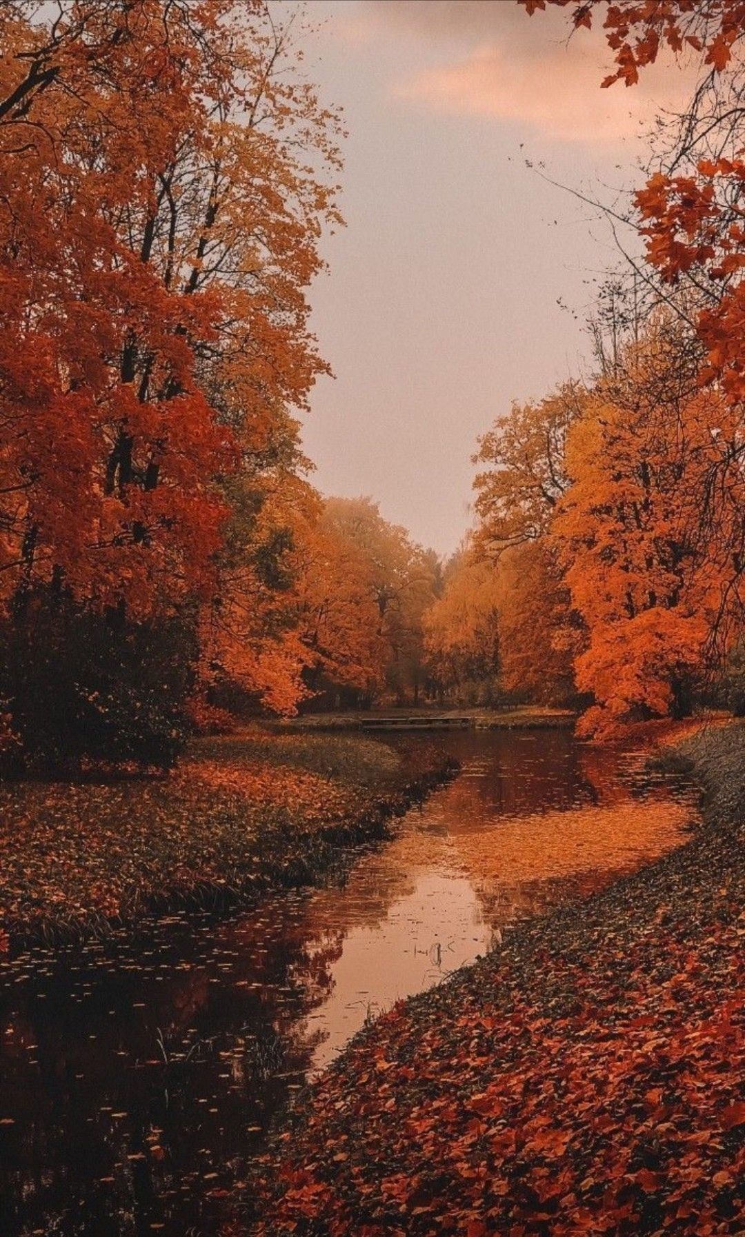 Herbst, Bach, Orange Bäume, Laub, Full HD, Hintergrundbild fürs Handy