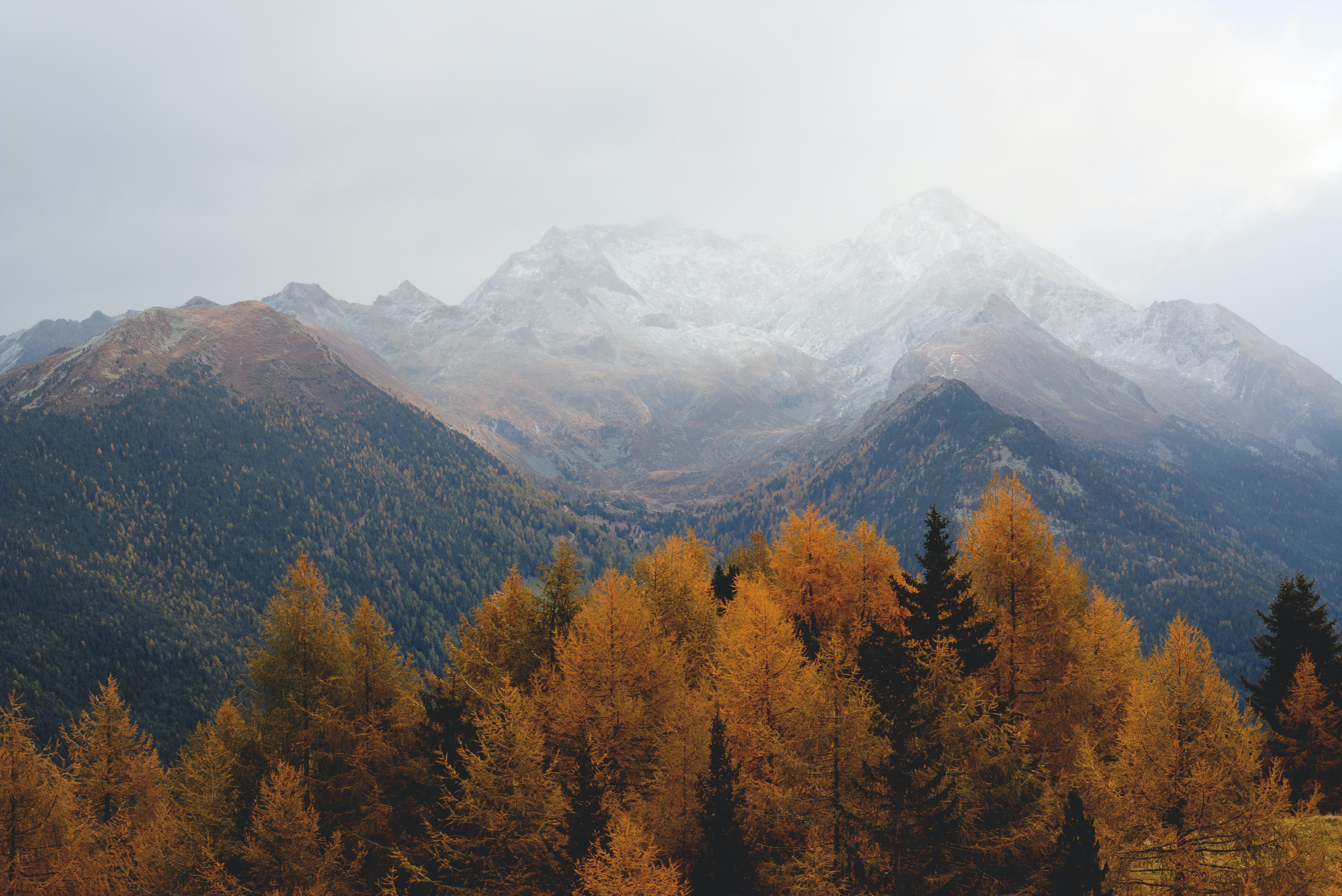 Berge, Schneegipfel, Herbstwald, Lärchen, Dunst, 5K, Hintergrundbild für den PC