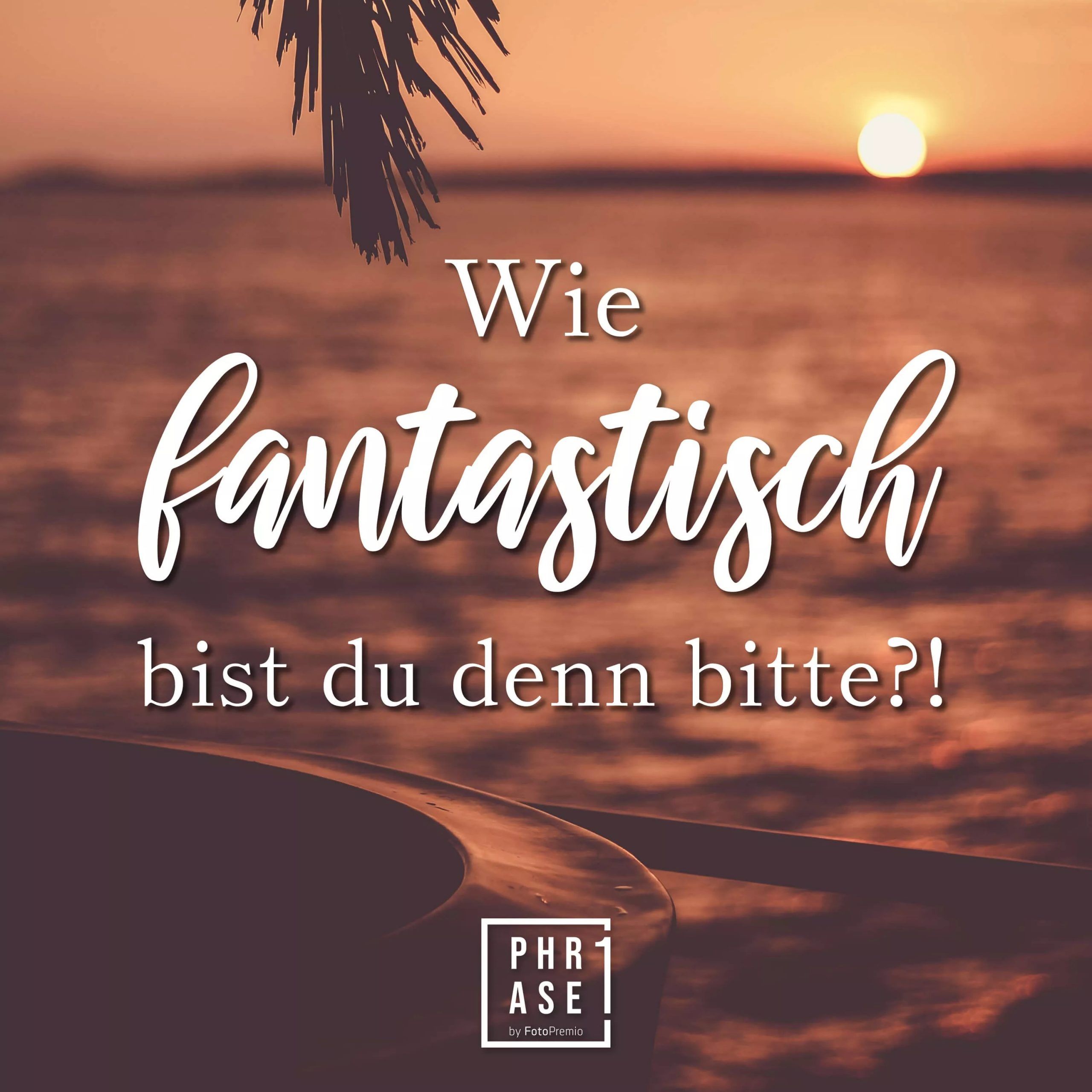 Wie fantastisch bist du denn bitte, Sonnenuntergang, Meer, Palmenblatt, Kompliment, Tablet-Hintergrund