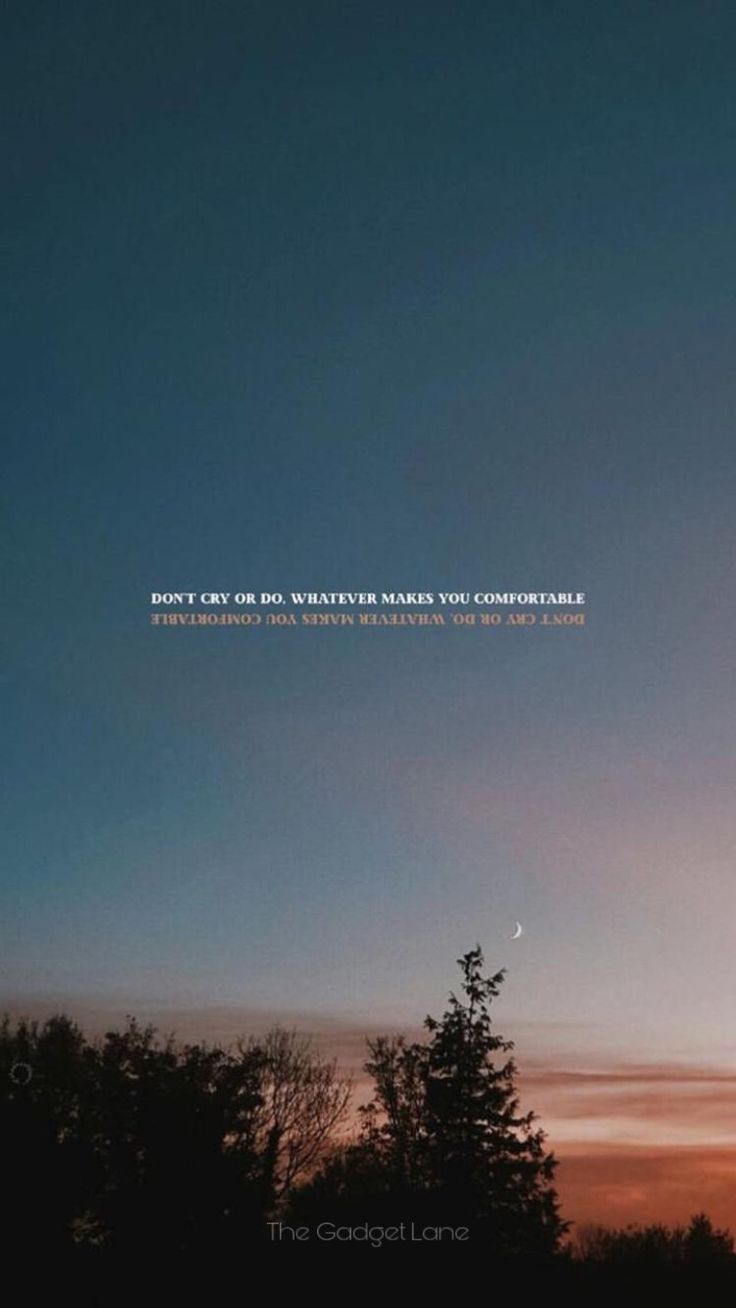 Baumsilhouetten, Abendhimmel, Kleines Zitat, Dämmerung, Hintergrundbild für iPhone und Android