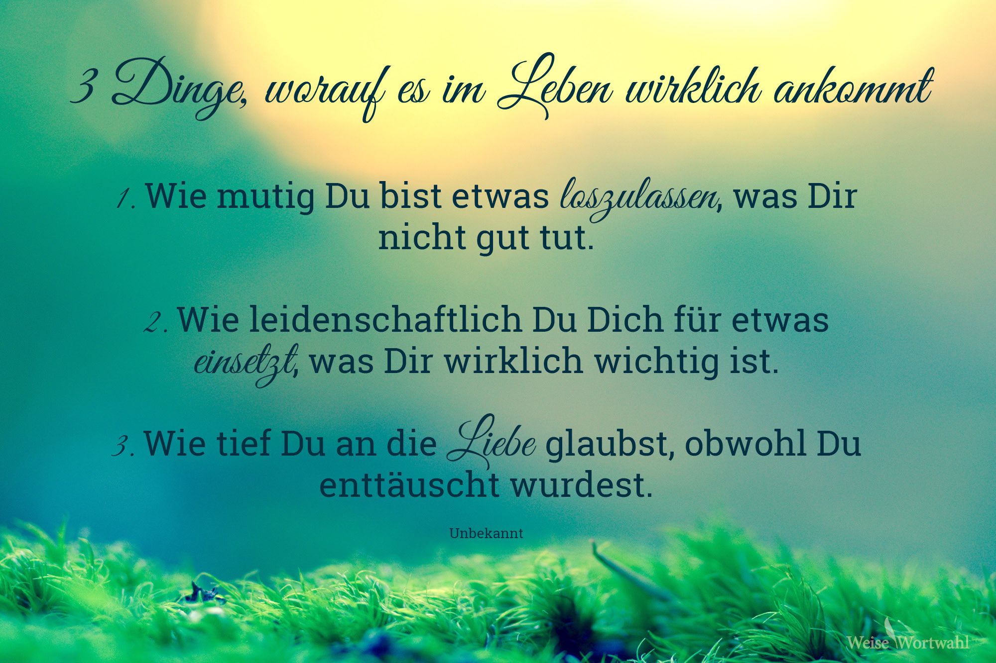 3 Dinge, worauf es im Leben wirklich ankommt, Gras, Sonnenlicht, Lebensweisheit, Grün, Full-HD-Hintergrundbild
