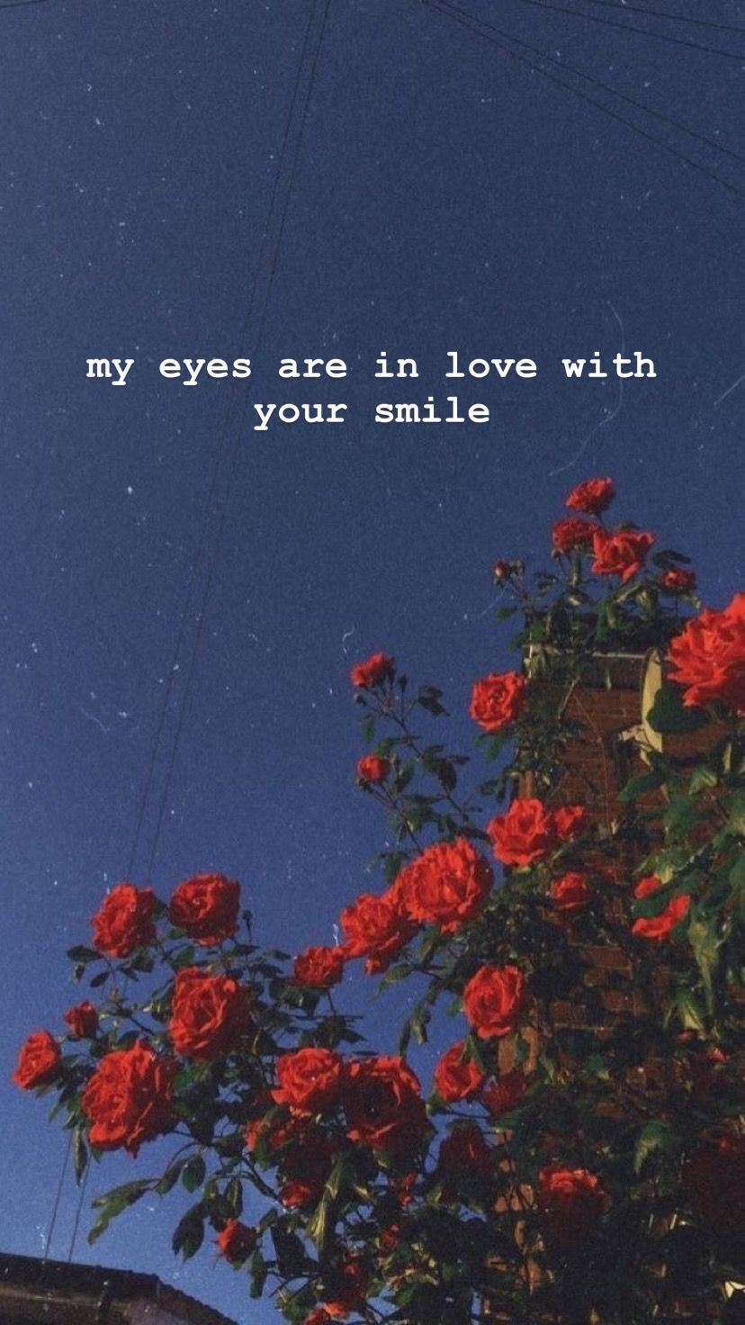 My Eyes Are in Love with Your Smile, Rote Rosen, Blauer Himmel, Zitat, HD, Handy-Hintergrundbild