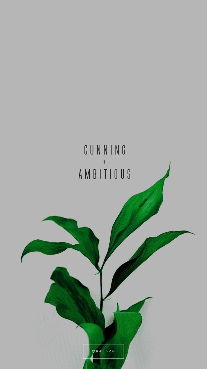 Cunning and Ambitious, Pflanze, Grünes Blatt, Grauer Hintergrund, Minimalistisch, Sperrbildschirm