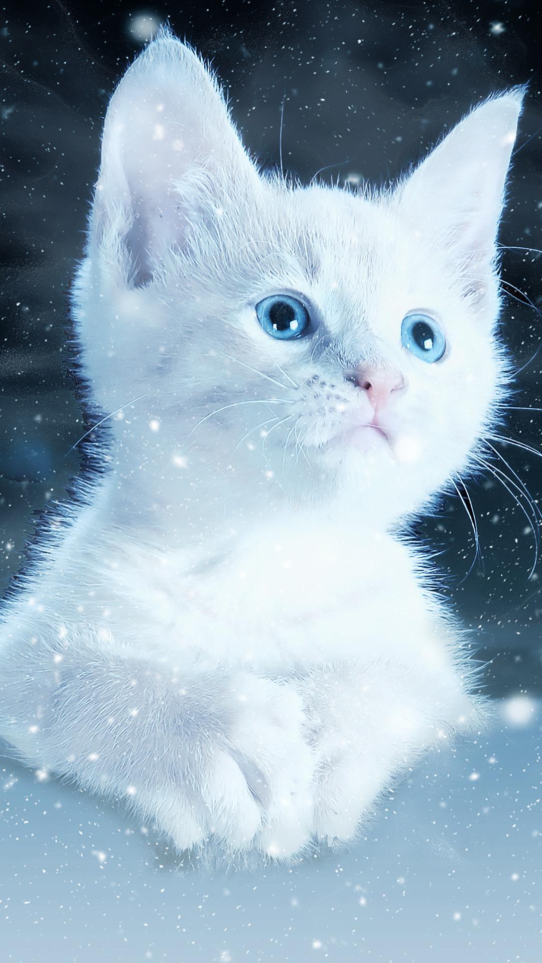 Kätzchen, Weiße Katze, Blaue Augen, Glitzer, Süß, Full HD, Sperrbildschirm fürs iPhone