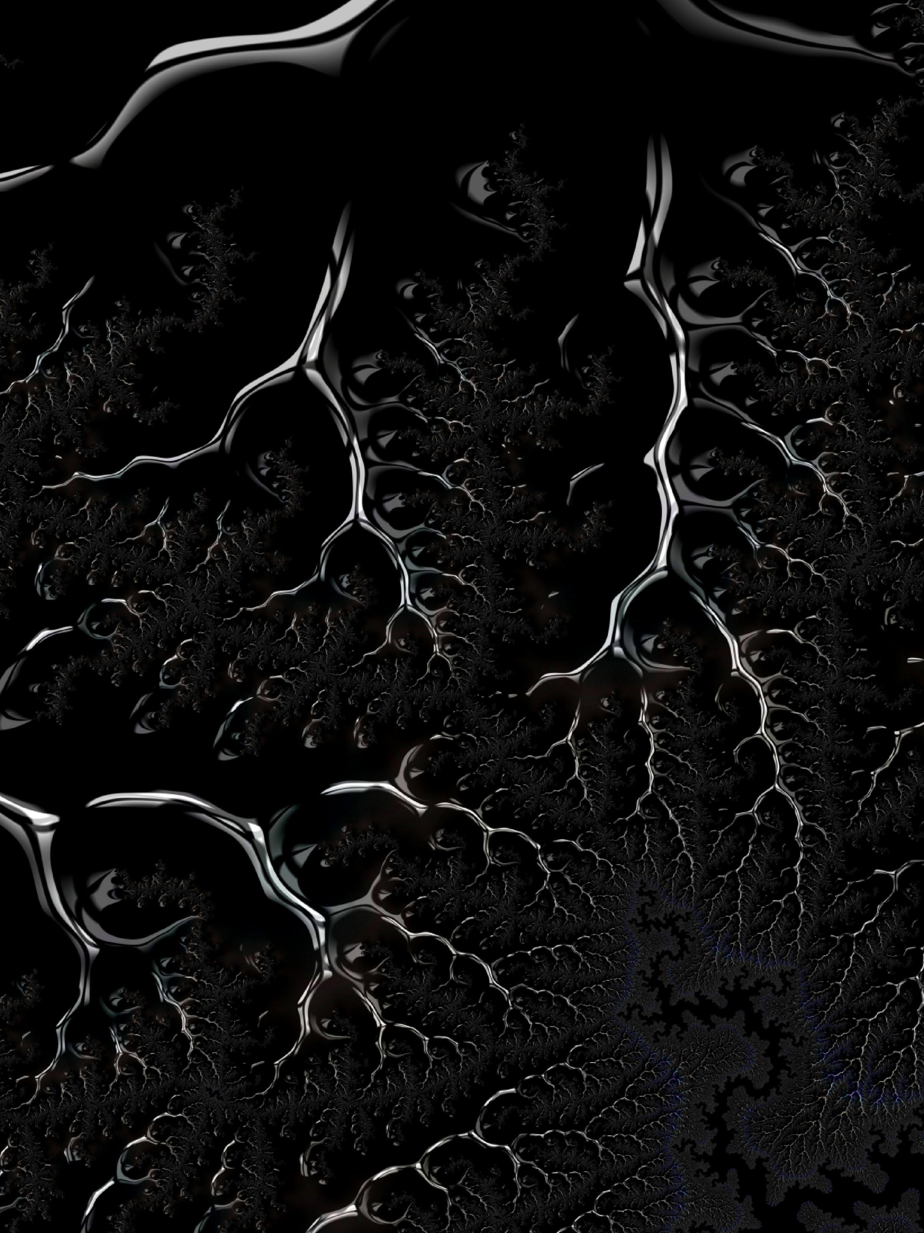 Flussdelta, Luftaufnahme, Schwarzweiß, Verästelungen, Textur, QHD+, Tablet-Hintergrund