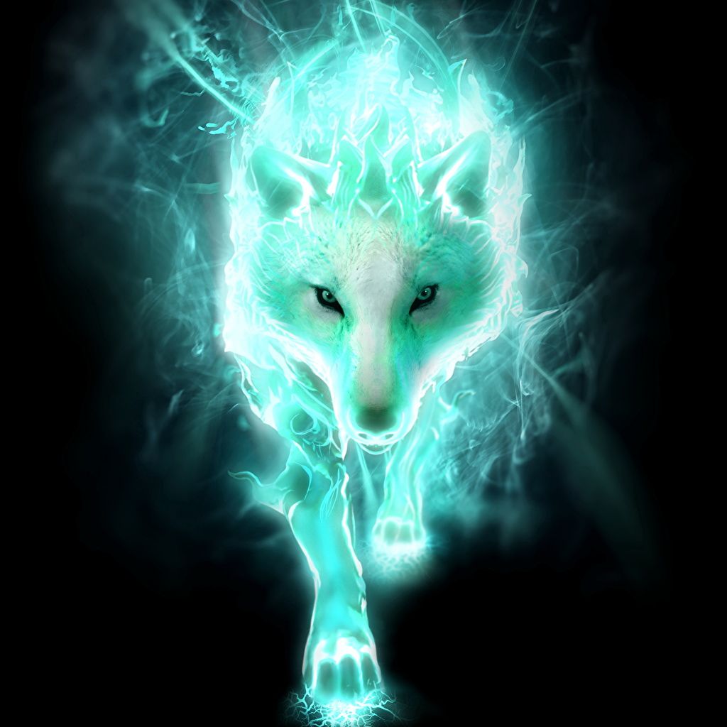 Geisterwolf, Türkises Leuchten, Fantasy, Schwarzer Hintergrund, Wallpaper